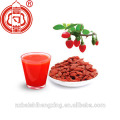 Ningxia überlegene Gesundheit Rote goji Beere (Gou Qi) fructus lycii